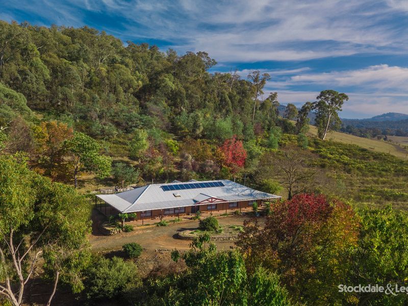 60176019 MansfieldWhitfield Road, Whitfield, Vic 3733 Property Details