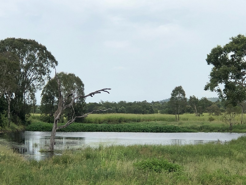 86 Lena Road, Mount Kelly, QLD 4807