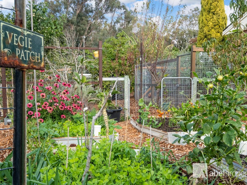 101 Buckingham Road, Swan View, WA 6056