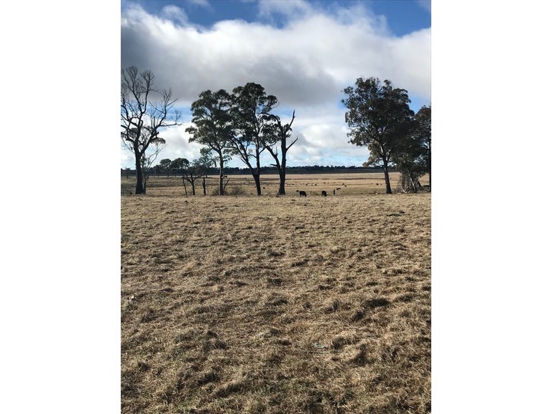 Rural properties for Sale in Guyra, NSW 2365