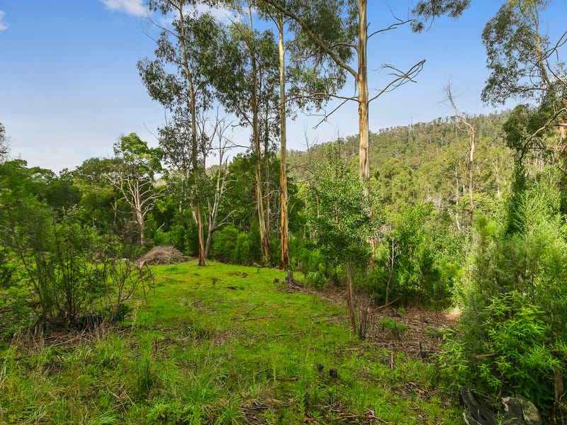 35 Riverside Drive, Wye River, VIC 3234 - realestate.com.au