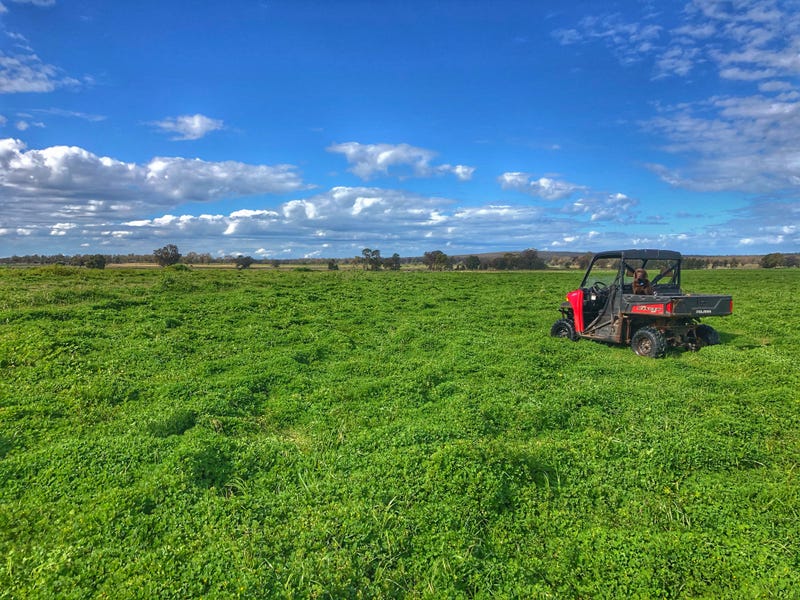 656 Crowley Road, Trundle, NSW 2875