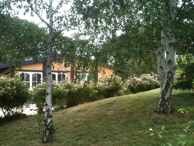 127 Falloons Road, Woodend, Vic 3442 Property Details