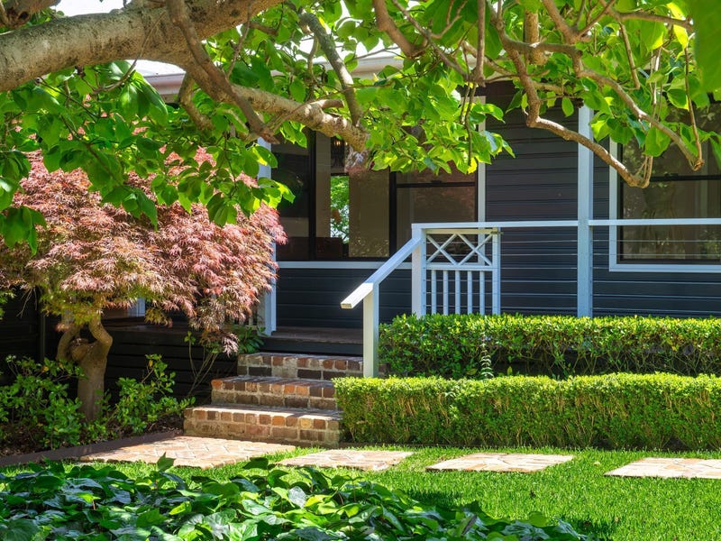 Japanese Maple Tree Design 19 King Street, Berry, NSW 2535 - House for Sale - realestate.com.au