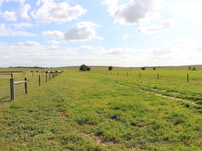 475 Pfeiffer Road, Geranium, SA 5301 Property Details