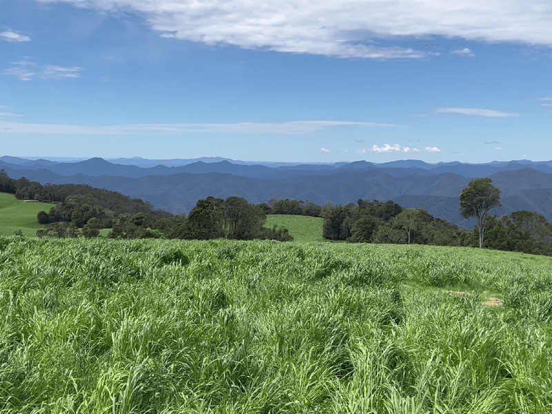 681 Rocky Creek Road, Dorrigo, NSW 2453 Lifestyle for Sale