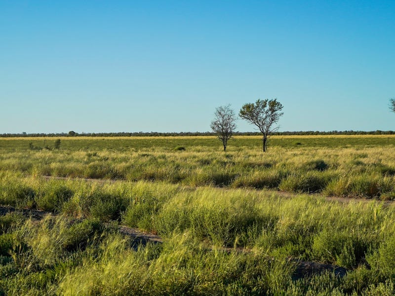 8787 Cumborah Road, Walgett, NSW 2832 Property Details