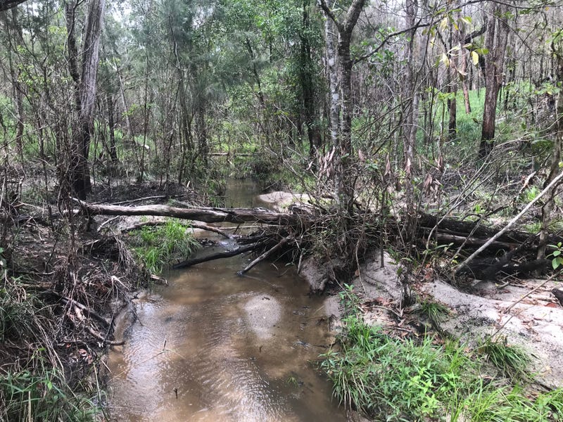 1371 Mount Fox Road, Mount Fox, QLD 4850