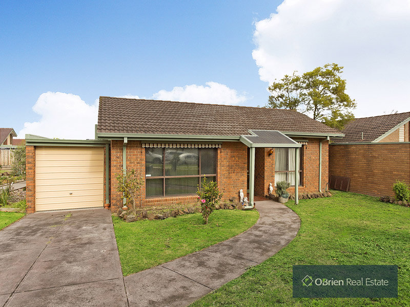 14 Bernard Street, Cheltenham, Vic 3192