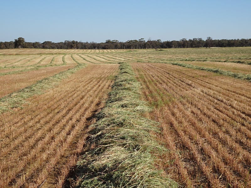 Lot 70 Great Southern Highway, Highbury, WA 6313 Cropping for Sale