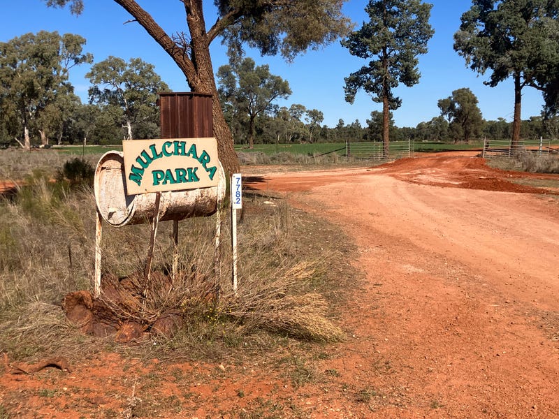 Mulchara Park, Cobar, NSW 2835 Livestock for Sale