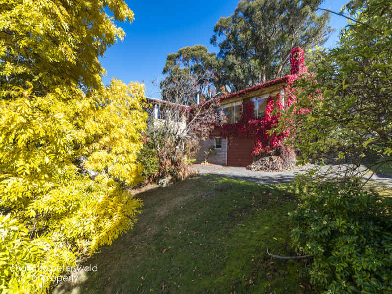 204 Strickland Avenue, South Hobart, TAS 7004