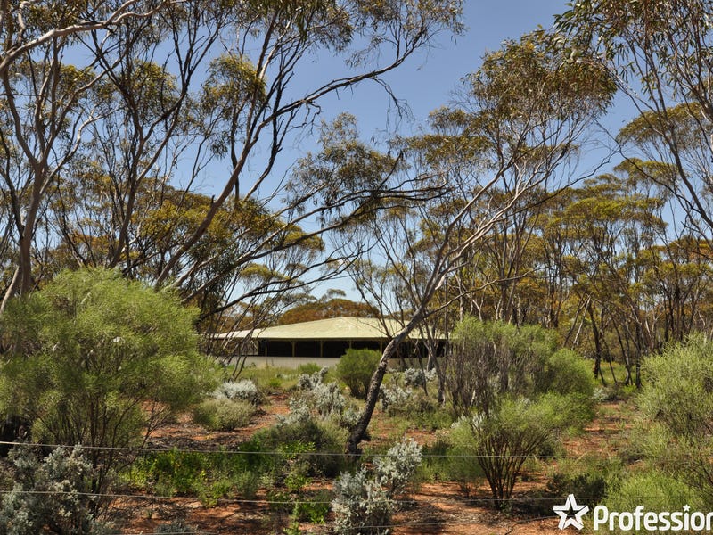 324 May Road North, Bower, SA 5374 Property Details