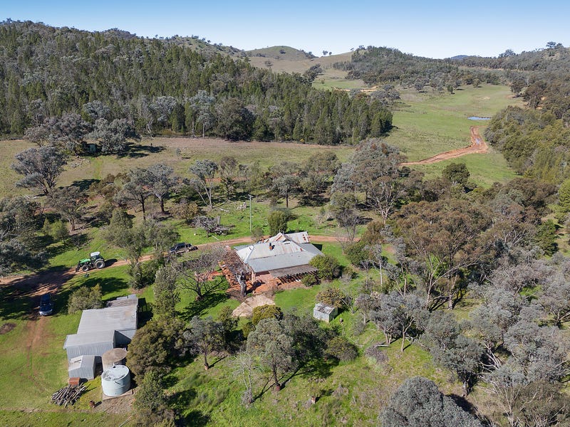 775 Mebul Road, Gulgong, NSW 2852 Livestock for Sale