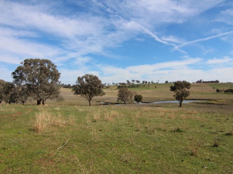 387 Strathmore Lane, Molong, NSW 2866