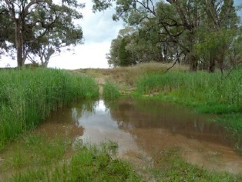 . Spring Creek Road, Gulgong, NSW 2852 - Property Details