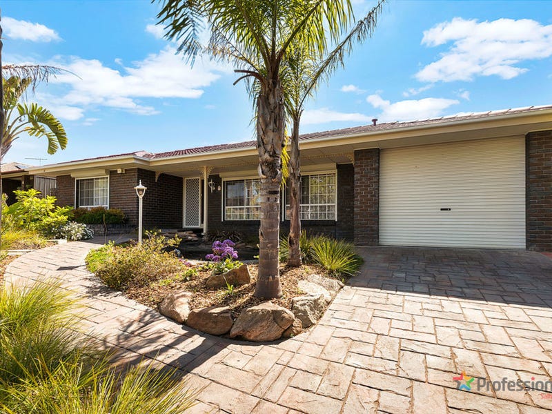 19 Sauvignon Court, Wynn Vale, SA 5127