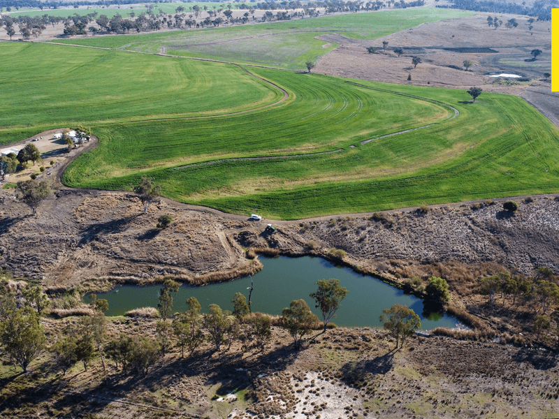 11608 Gwydir Highway, Delungra, NSW 2403 Cropping for Sale