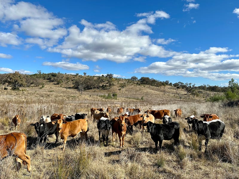 Rural properties for Sale in QLD Pg. 40