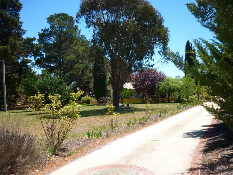 532 Snowy Mountains Highway, Dairymans Plains, NSW 2630