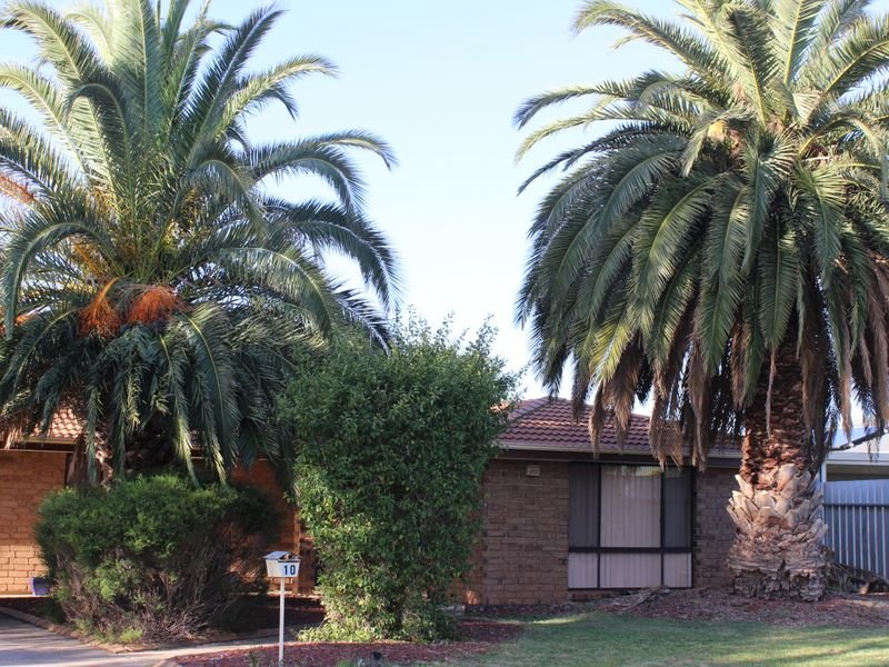 10 California Avenue, Craigmore, SA 5114