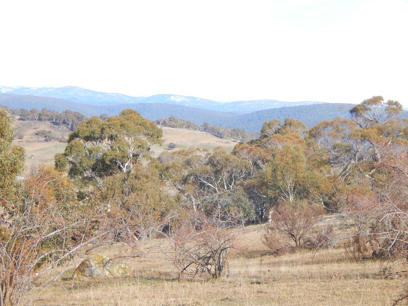 Lot 134 Braemar Bay Road, Eucumbene, NSW 2628 Property Details