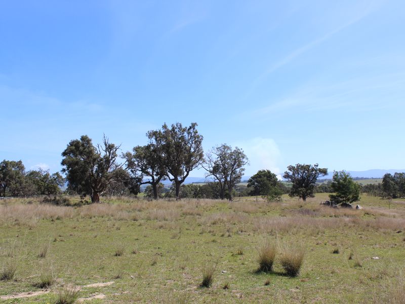 15 Newlyns Place, Frogs Hollow, NSW 2550