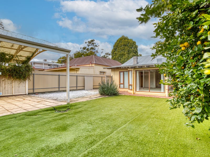 62 Opey Avenue, Hyde Park, SA 5061