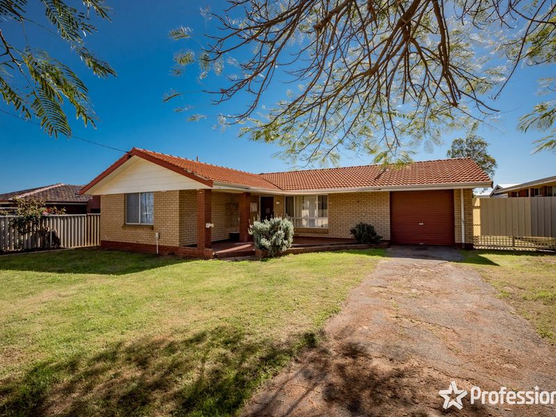 17 Pollett Street, Spalding, WA 6530 Property Details