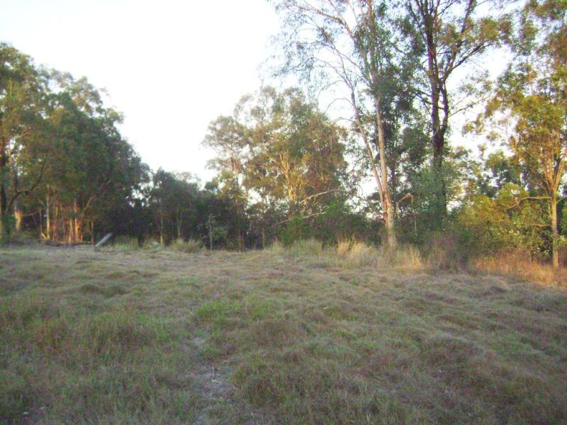 654706 Millstream Road, Cedar Vale, QLD 4285