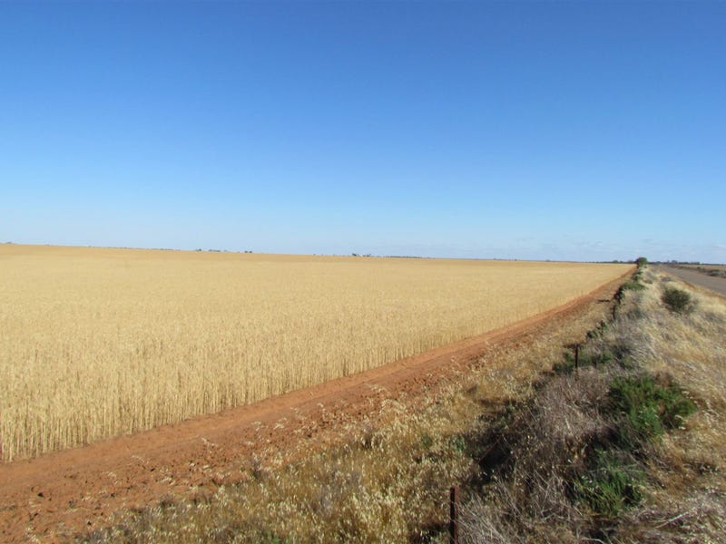 6539 Chapman Valley Road, Yuna, WA 6532