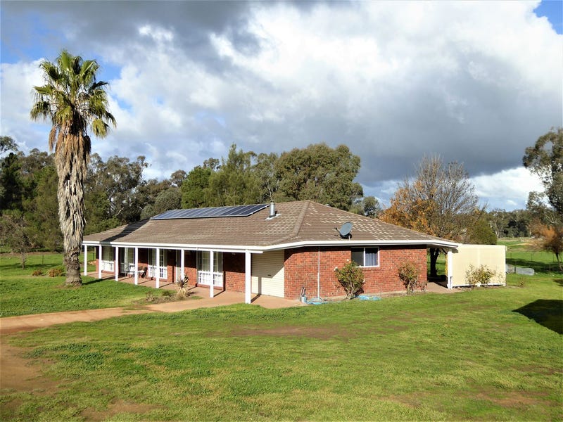 63 Angaston Road, Henty, NSW 2658 Lifestyle for Sale