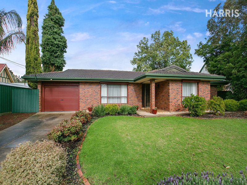 6 Lewis Avenue, Paradise, SA 5075 Property Details