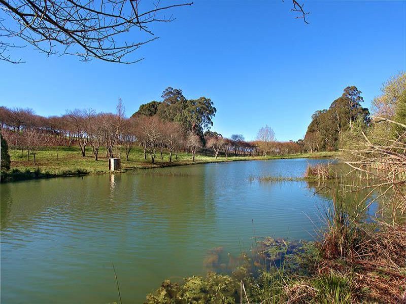 125 Macclesfield Road, Monbulk, Vic 3793 Property Details