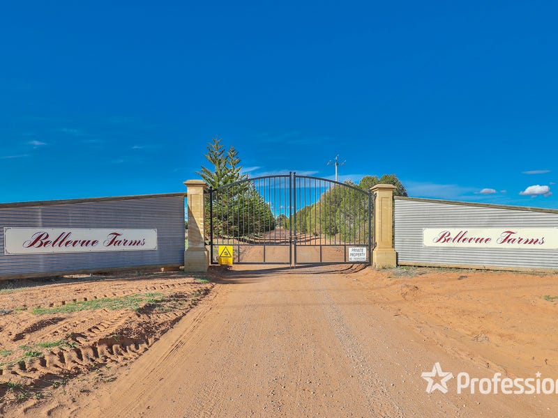 Real Estate & Property for Sale in Wentworth, NSW 2648