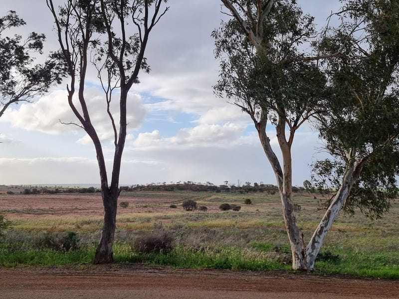 36 Birdwood Street, Mullewa, WA 6630 Property Details