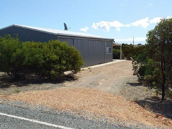 winchester q-deck treated decking 27mm x 144mm