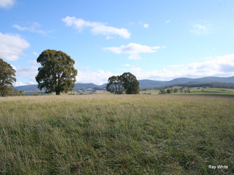 455 Captains Flat Road, Braidwood, NSW 2622 Property Details