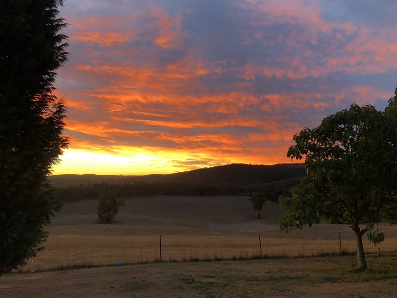 282 Dark Corner Road, Sunny Corner NSW 2795 · Property Profile and