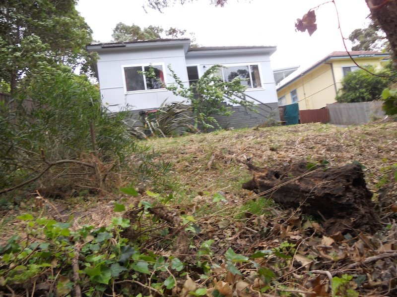 10 Gifford Street, Coledale, NSW 2515