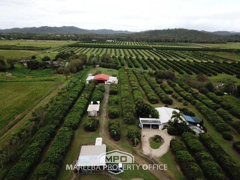 209 Malone Road, Mareeba, Qld 4880 Lifestyle for Sale