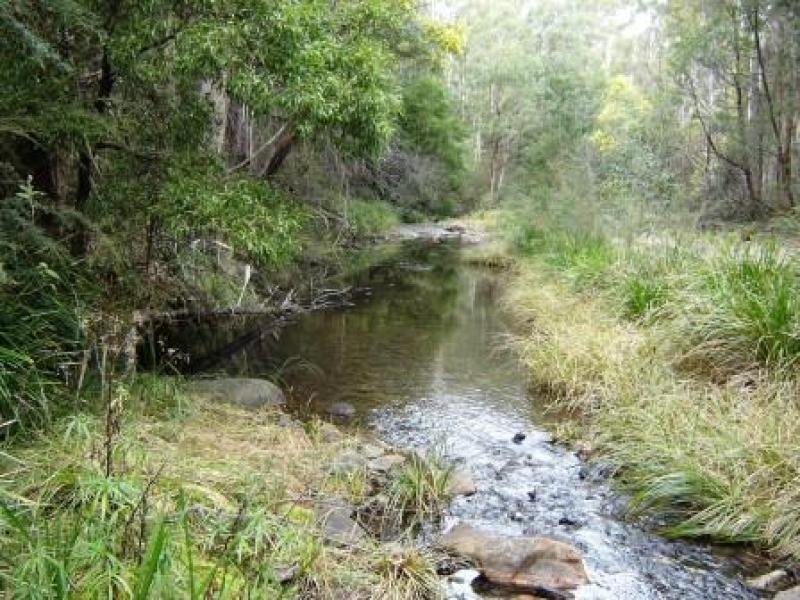 Lot 53 Monaro Highway, Rockton, NSW 2632 - realestate.com.au