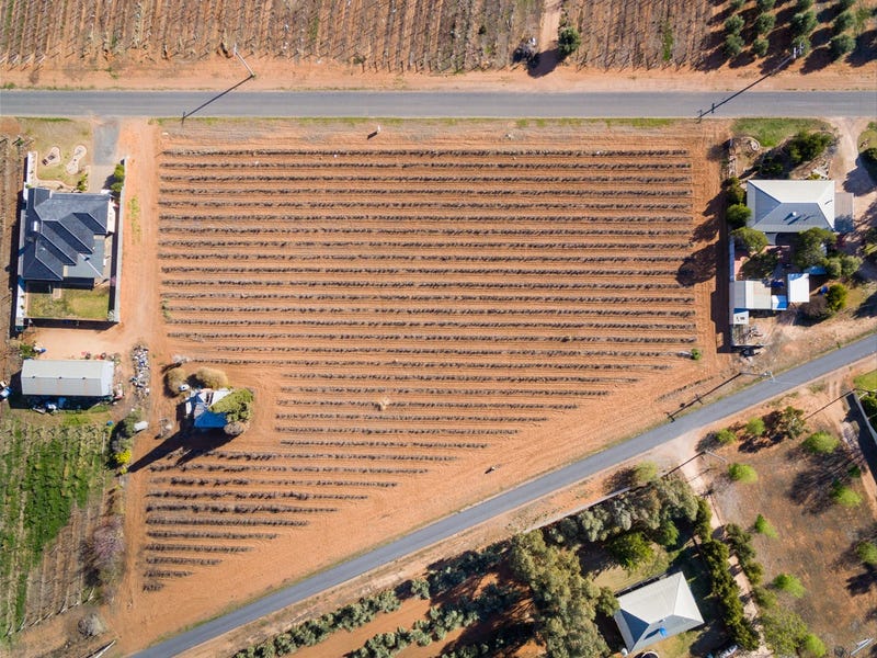 68 Irymple Avenue, Nichols Point, VIC 3501