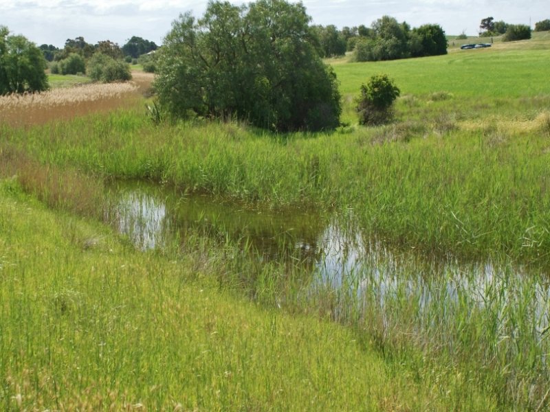 90 Hartmans Road, Palmer, SA 5237