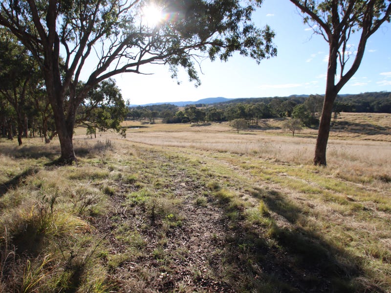 409 Mount Lindesay Road, Tenterfield, NSW 2372 Livestock for Sale