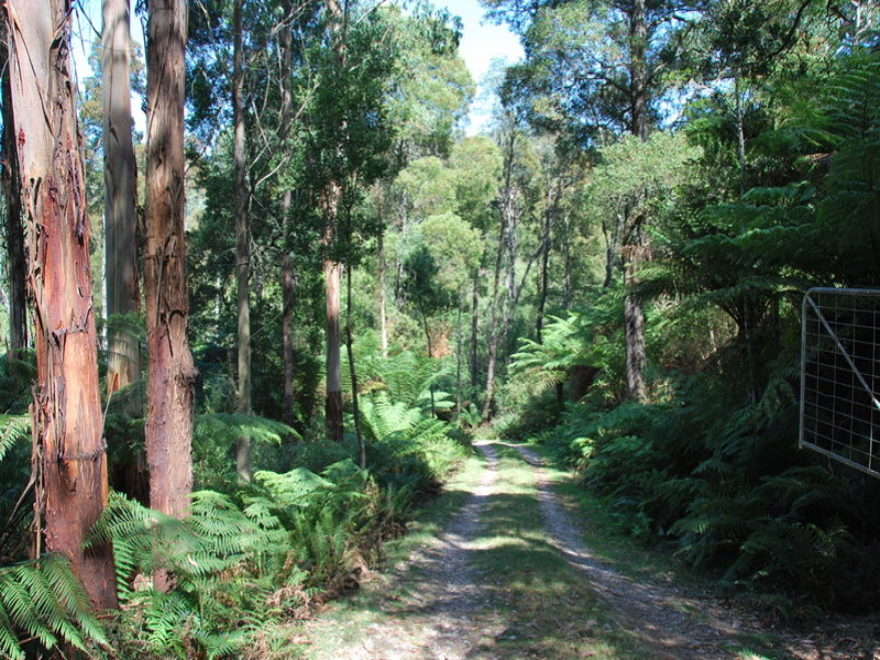 1045 Boolarrafoster Road, Boolarong, VIC 3960