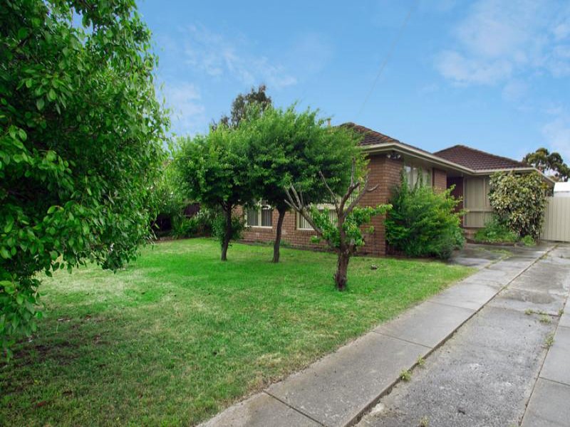 53 Hickey Street, Whittington, VIC 3219