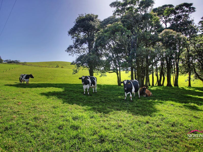 22 Collins Road, Ravenshoe, Qld 4888 Dairy for Sale