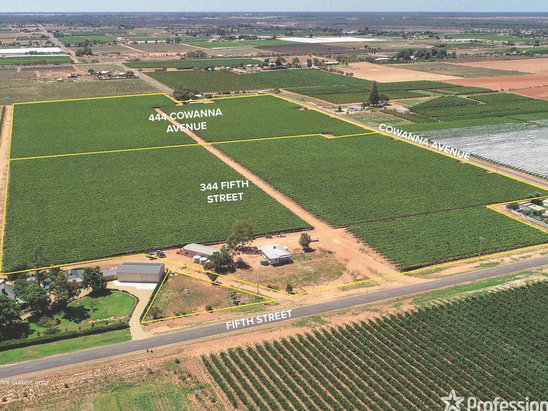 344 Fifth Street & 444 Cowanna Avenue, Merbein, Vic 3505 Horticulture