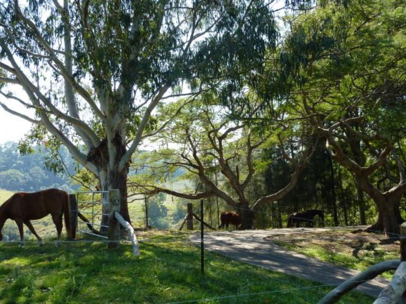 30 Briggs Road, Perwillowen, QLD 4560